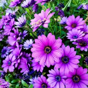 Meet your Posher, Glad&thia